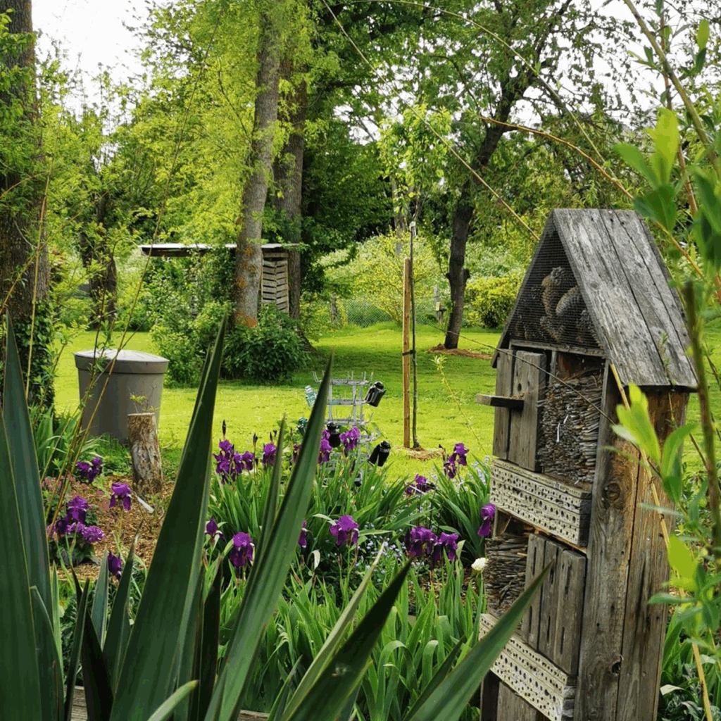 Parterre de fleurs & maison à insecte