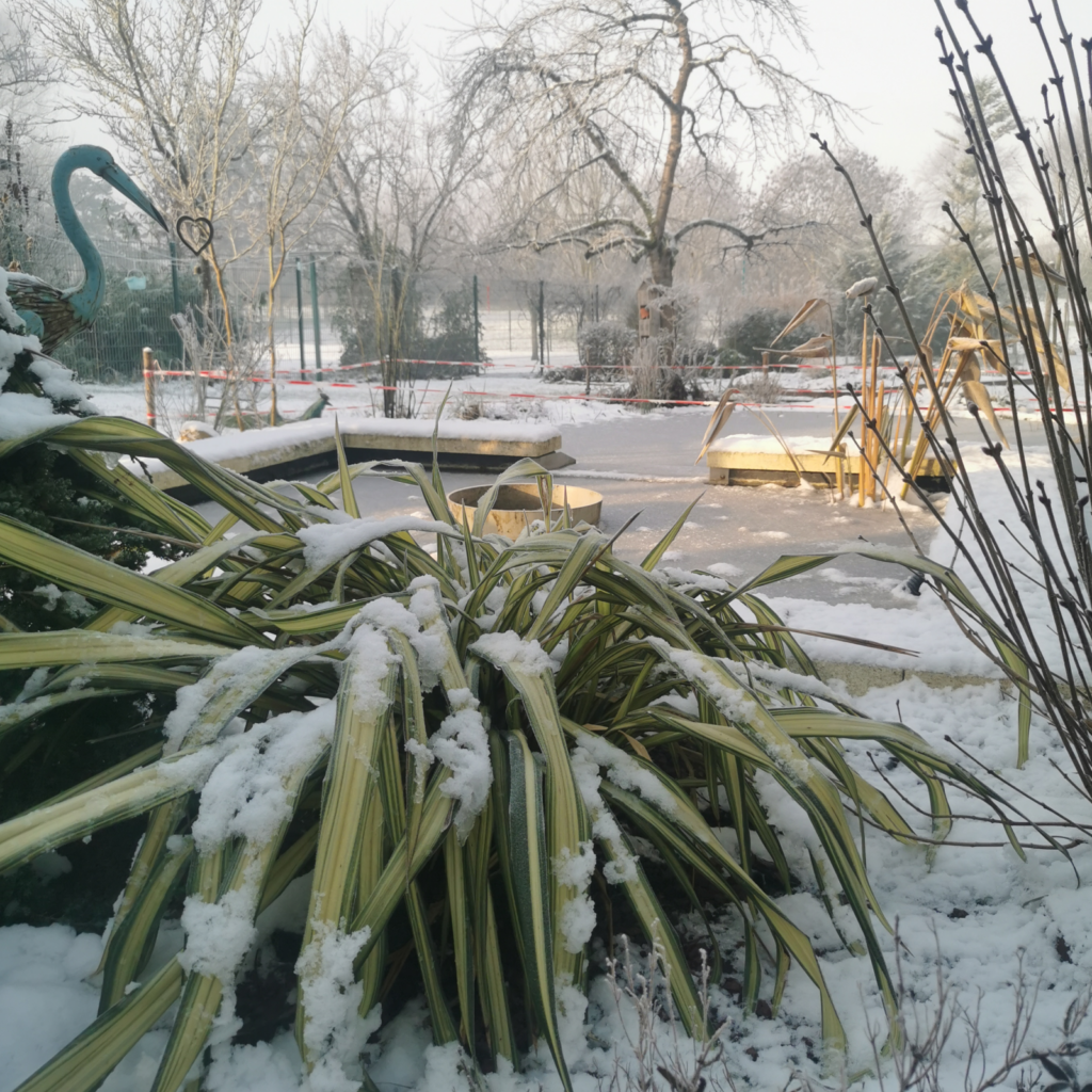 La neige dans le jardin