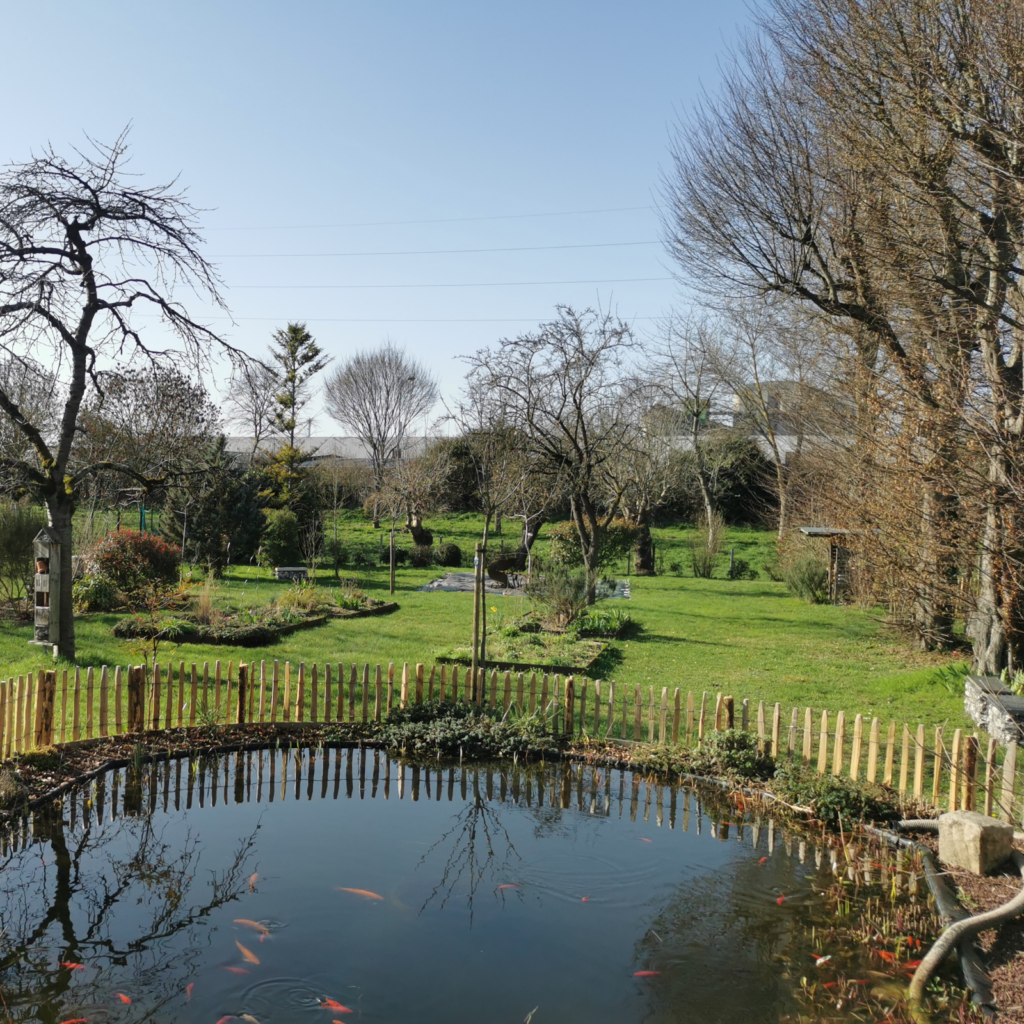 Lac dans le jardin